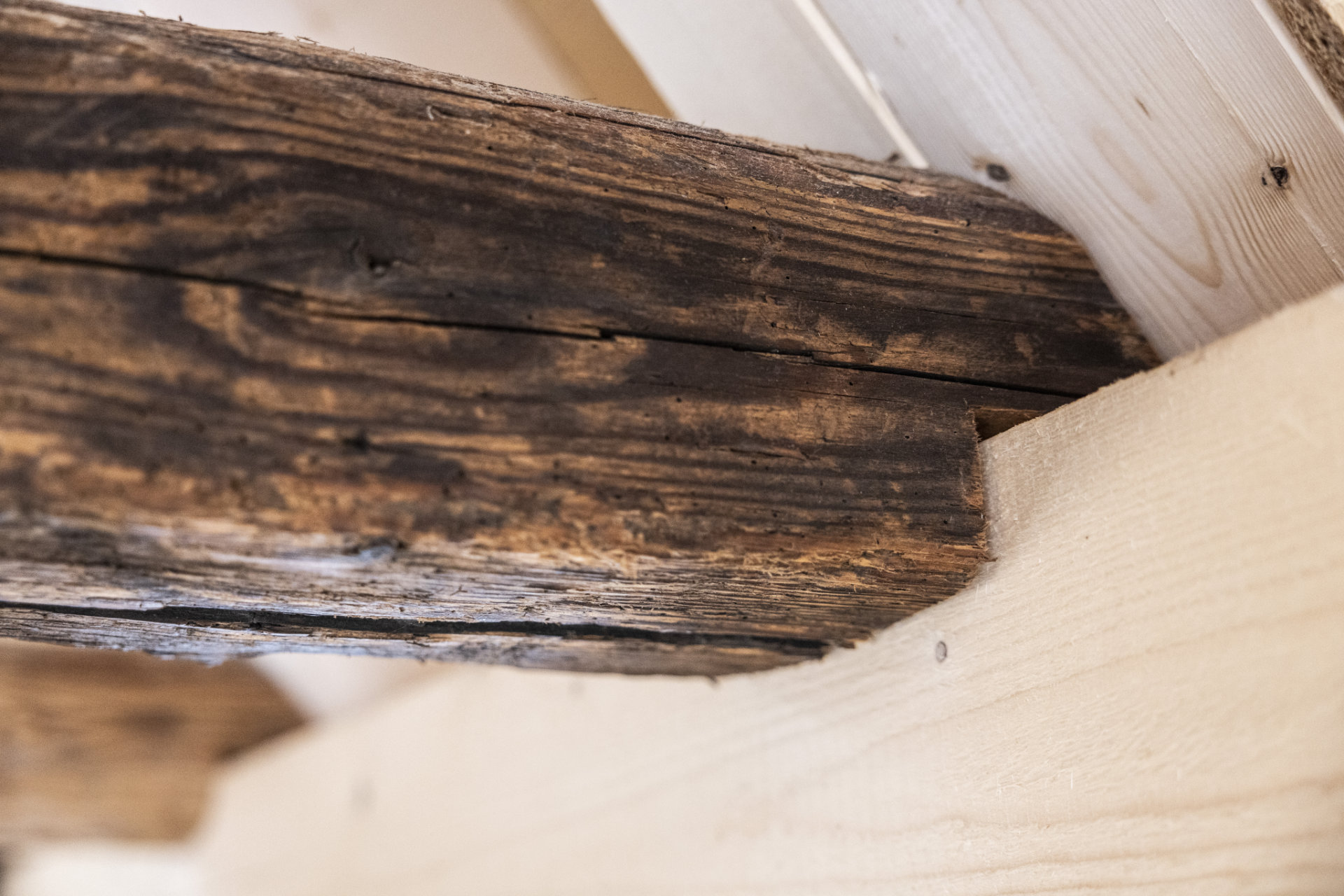 Antike Holzbalken im Dachstuhl Antike Holzbalken in einem Dachstuhl werden auf einem neuen Dachbalken abgestützt.